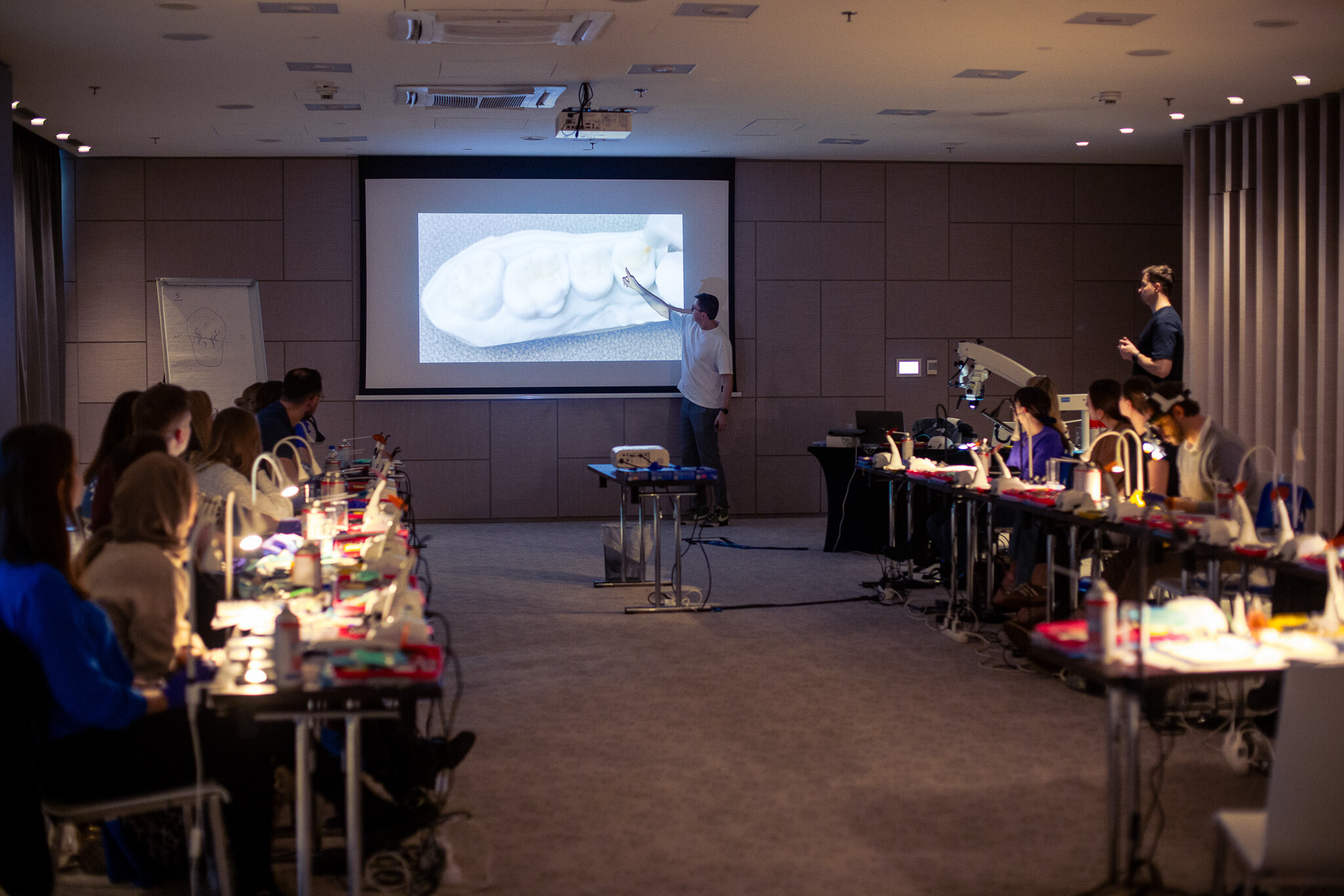 Wykład z odbudowy zębów w odcinku bocznym - kurs dla dentystow