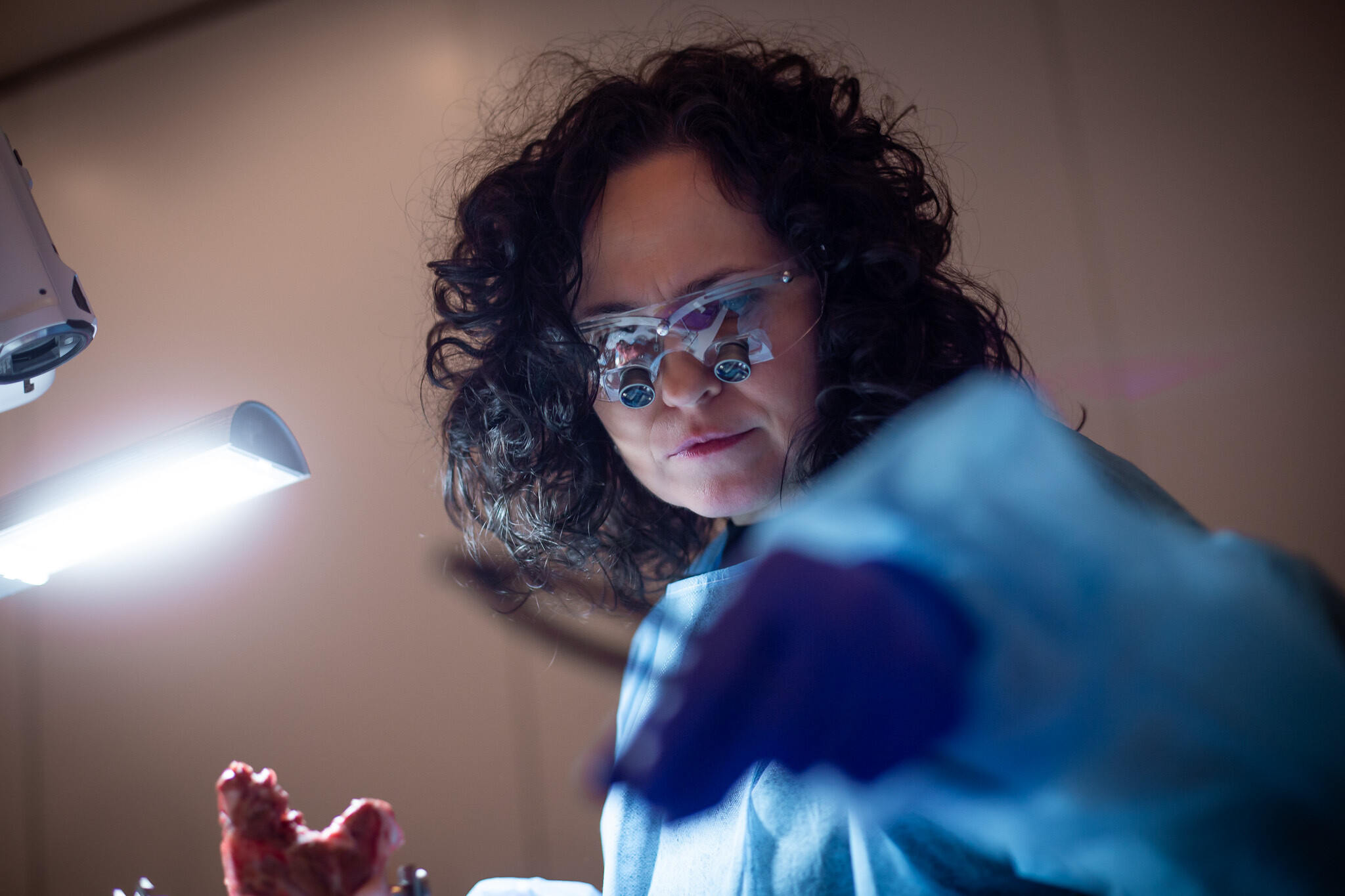 dr n. med. Lidia Jamróz-Wilkońska