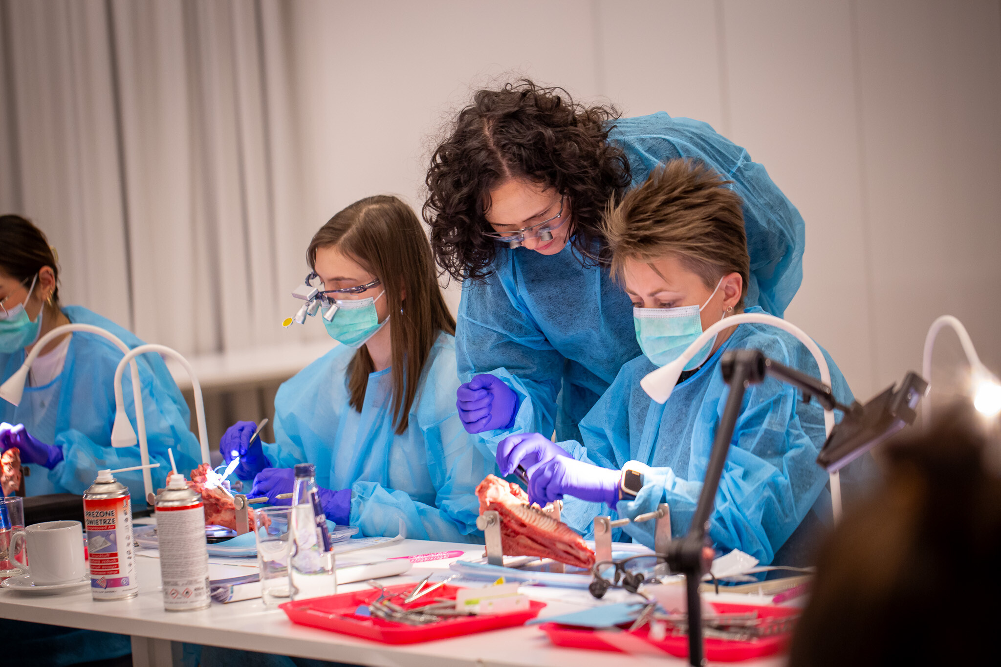 Leczenie chorób przyzębia - Dental Day kurs 