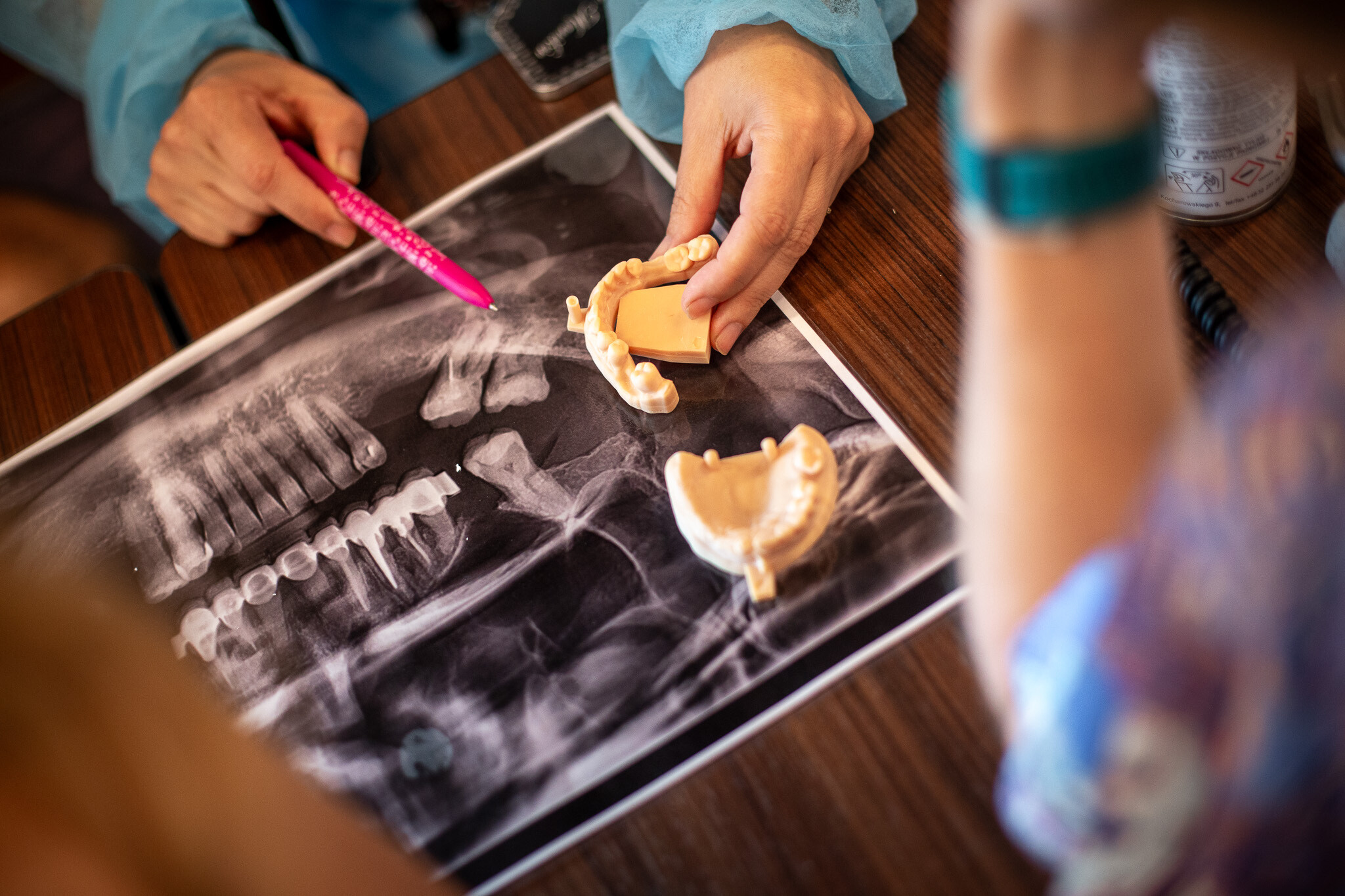 ćwiczenia z planowania i diagnostyki - Dental Day
