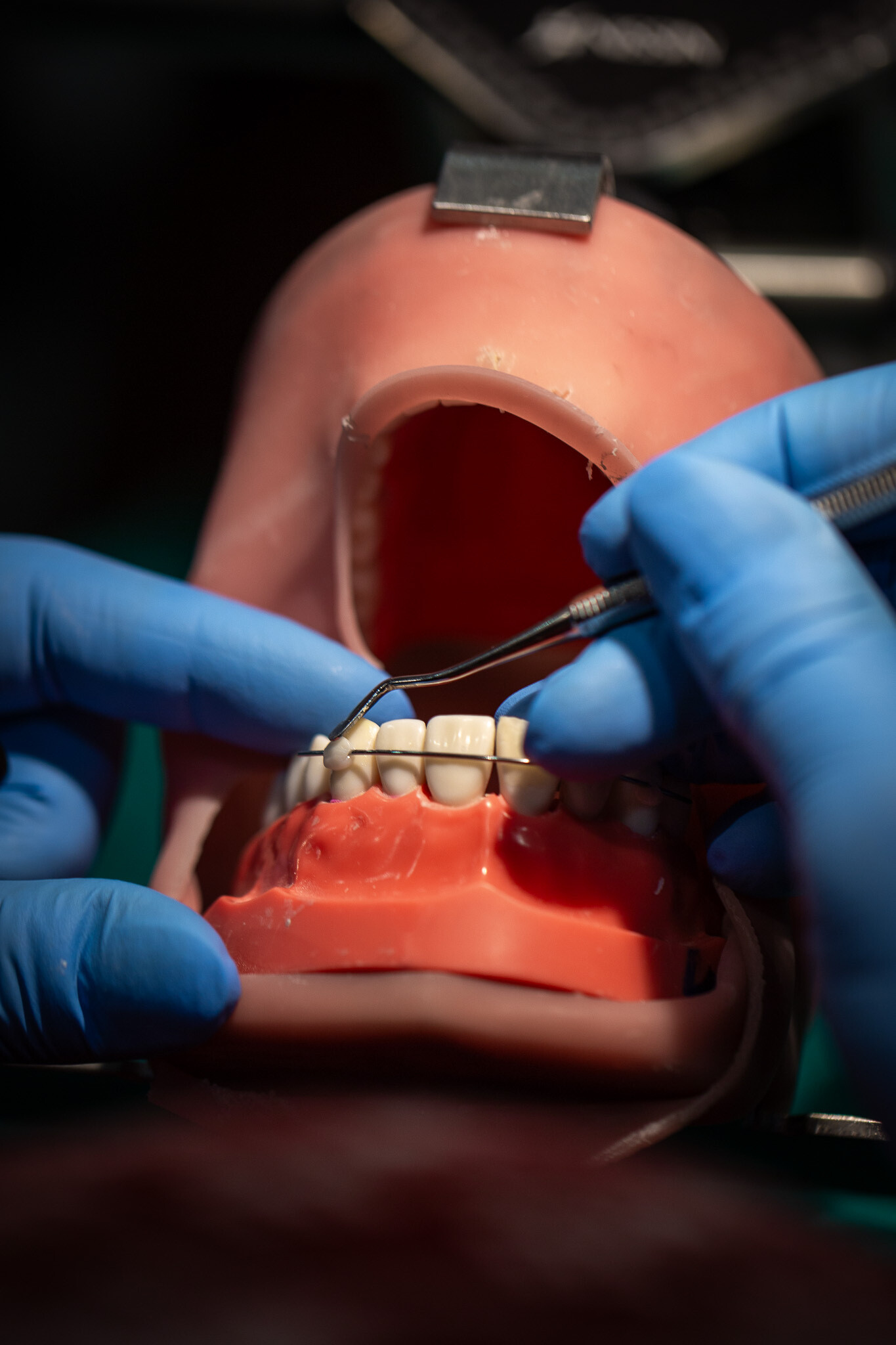 Szynowanie zębów na szkoleniu z traumatologii - Dental Day