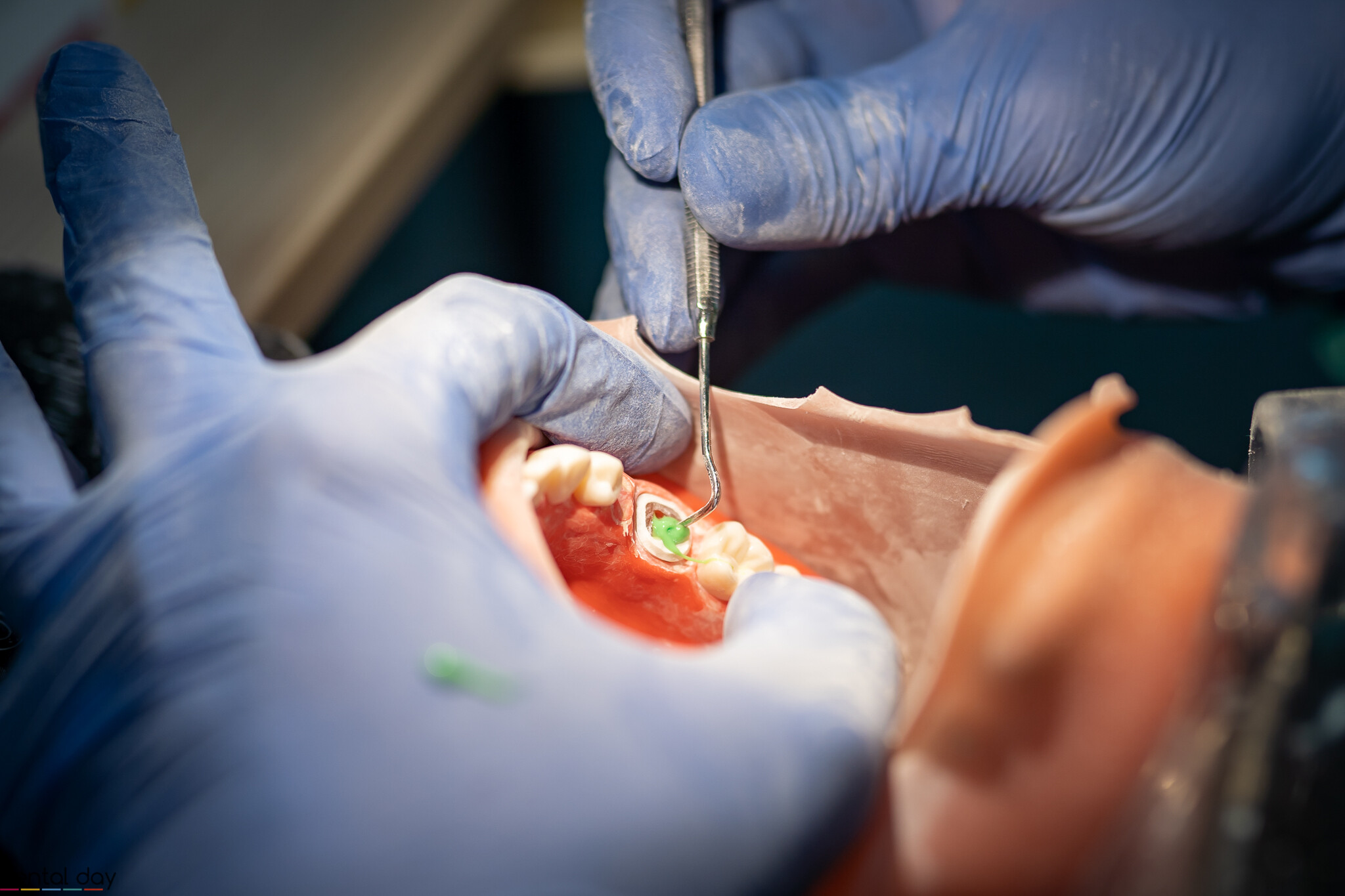 Praca praktyczna podczas szkolenia dla dentystów